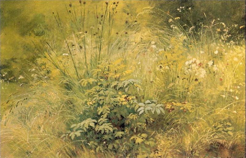 Ivan Shishkin Herbage Germany oil painting art